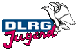 DLRG-Jugend Logo: Adler der auf dem DLRG-Schriftzug sitzt darunter in pink Jugend
