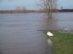 Hochwasser 2007