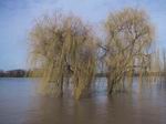 Hochwasser 2007