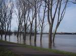 Hochwasser 2007