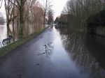 Hochwasser 2011