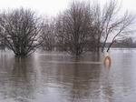 Hochwasser 2011