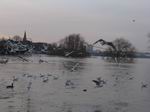 Hochwasser 2011