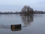 Hochwasser 2011