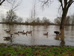 Hochwasser 2018